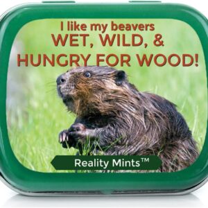 Funny Statement Mints - Breath Fresheners for Adults - Mens Gag Gifts, Stocking Stuffers, Candy Basket Fillers - Sugar-Free - Pocket-Size Metal Tins (Beaver)