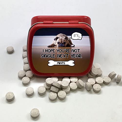 Funny Statement Mints - Breath Fresheners for Adults - Mens Gag Gifts, Stocking Stuffers, Candy Basket Fillers - Sugar-Free - Pocket-Size Metal Tins (Single Pup)