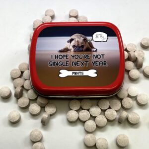 Funny Statement Mints - Breath Fresheners for Adults - Mens Gag Gifts, Stocking Stuffers, Candy Basket Fillers - Sugar-Free - Pocket-Size Metal Tins (Single Pup)