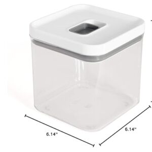 Copco Food and Organization Storage Container with Airtight Lid, 2.8-Quart, Clear