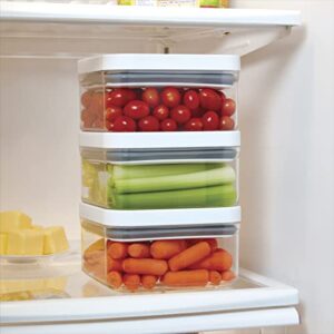 Copco Food and Organization Storage Container with Airtight Lid, 1.2-Quart, Clear