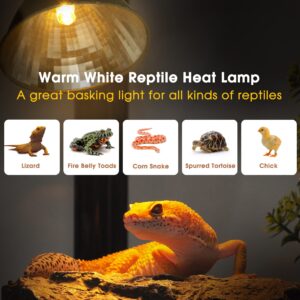 Reptile Heat Lamp, Briignite UVA Basking Light for Reptiles 50W, G9 Halogen Heat Bulb & Dome Reptile Light Fixture, Aluminum Reflector, Dimmable Heat Lamp for Chicken Turtle Snake Gecko Lizard, 1 Pack