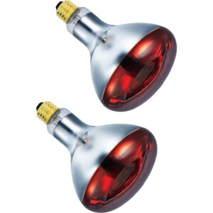 BULBMASTER 250 Watts R40 Red Heat Lamps Outdoor Bulbs for Pets Flood Light Bulb for Chickens Infrared Reflector 250W R40 Incandescent Medium E26 Base 2 Pack