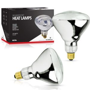 bulbmaster 250 watt heat lamp bulb for bathroom r40 incandescent shower heat lamp clear infrared bath light 250r40 chicken light bulb e26 base 2 pack