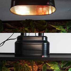 Aiicioo Dual Reptile Light Fixture - Bearded Dragon Light Fixture Double Reptile Heat Lamp Dome Max 160 Watt Terrarium UVB Reptile Light for Turtle Tank Vivarium Hermit Crab