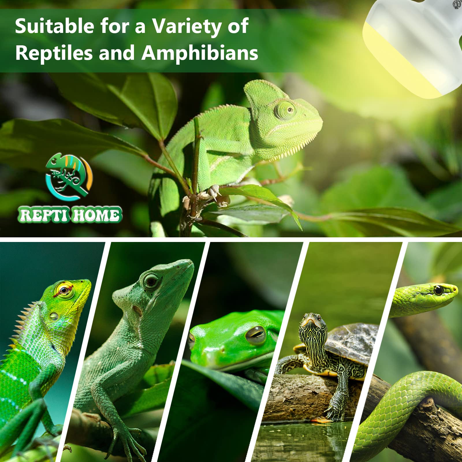 REPTI HOME Reptile Heat Lamp Bulbs Intense 100W 4 Pack, Reptiles & Amphibians UVA Basking Spot Lamp Bulb,Simulate Natural Sunlight Reptile Daylight Heat Bulb for Bearded Dragon, Snake