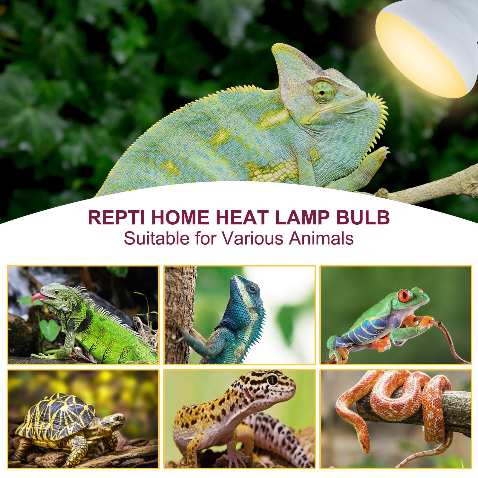 REPTI HOME Reptile Heat Lamp-150W Heat Lamp Bulbs for Reptiles, UVA Daily Heat Lamp, Reptile Basking Bulb for Bearded Dragon, Lizard, Turtle, Snake, Gecko (1Pack)