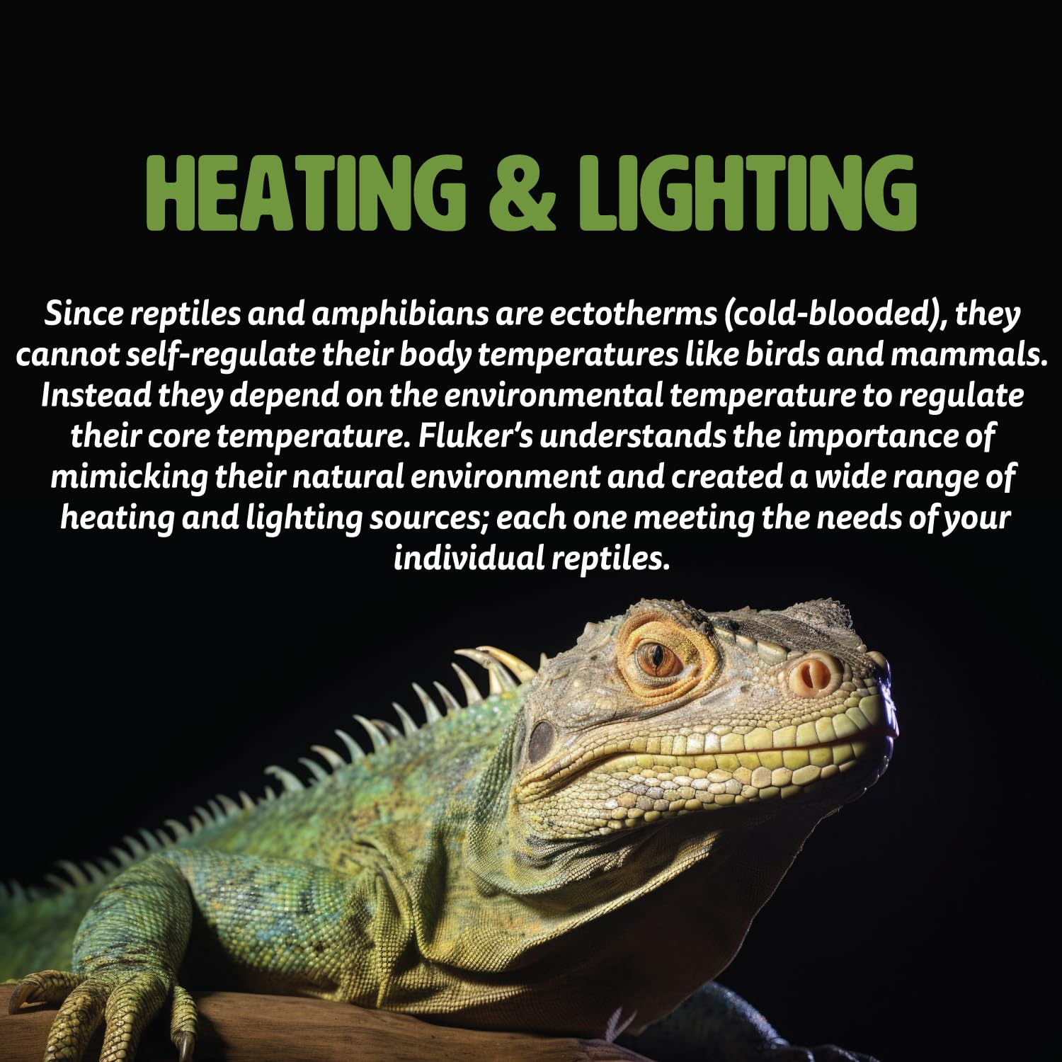 Fluker's Deep Thermal Heat Lamp for Reptiles with Carbon Infrared Technology, for All Reptile Tanks, Great for Basking, 100 Watt