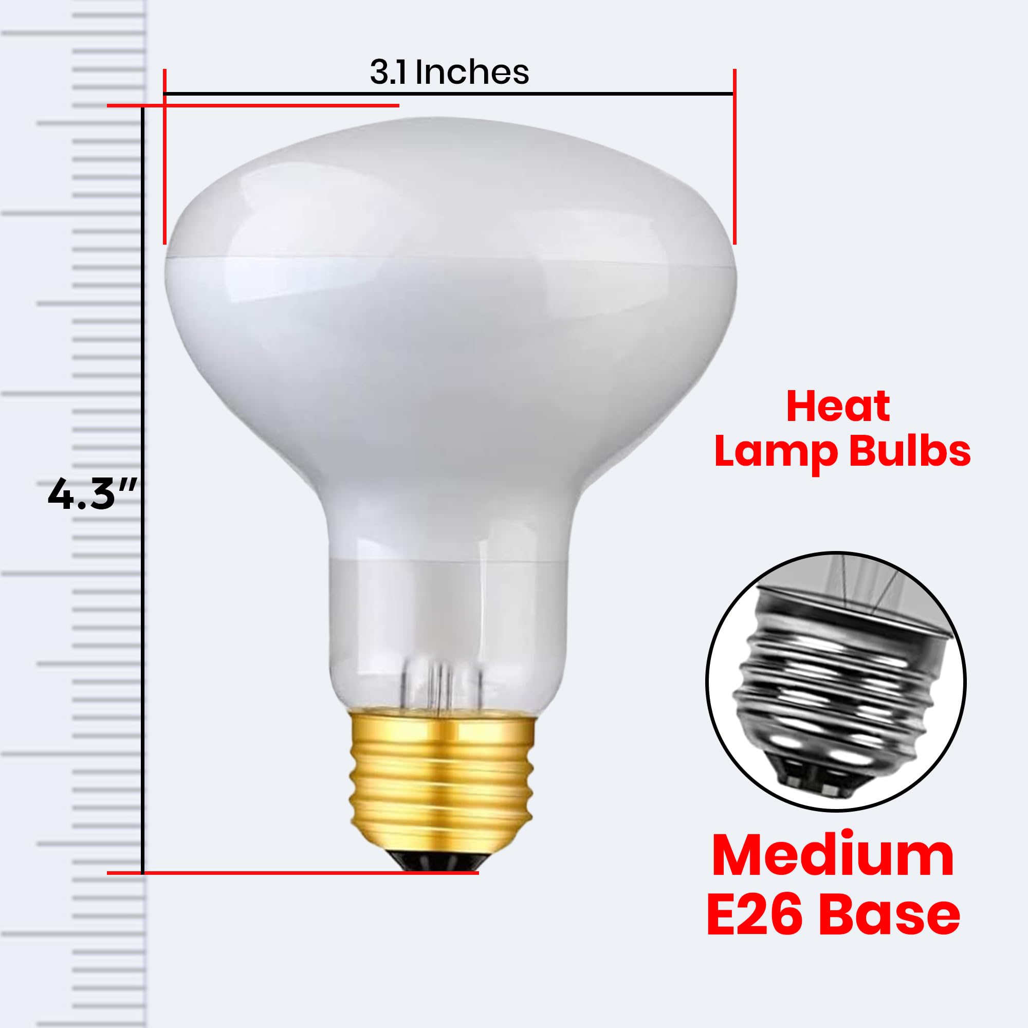 BULBMASTER Reptile Heat Lamp Bulb 100 Watts UVA Basking Light for Reptiles and Amphibian, Basking Light for Bearded Dragon, UVA Reptile Light Bulb E26 Base 2 Pack