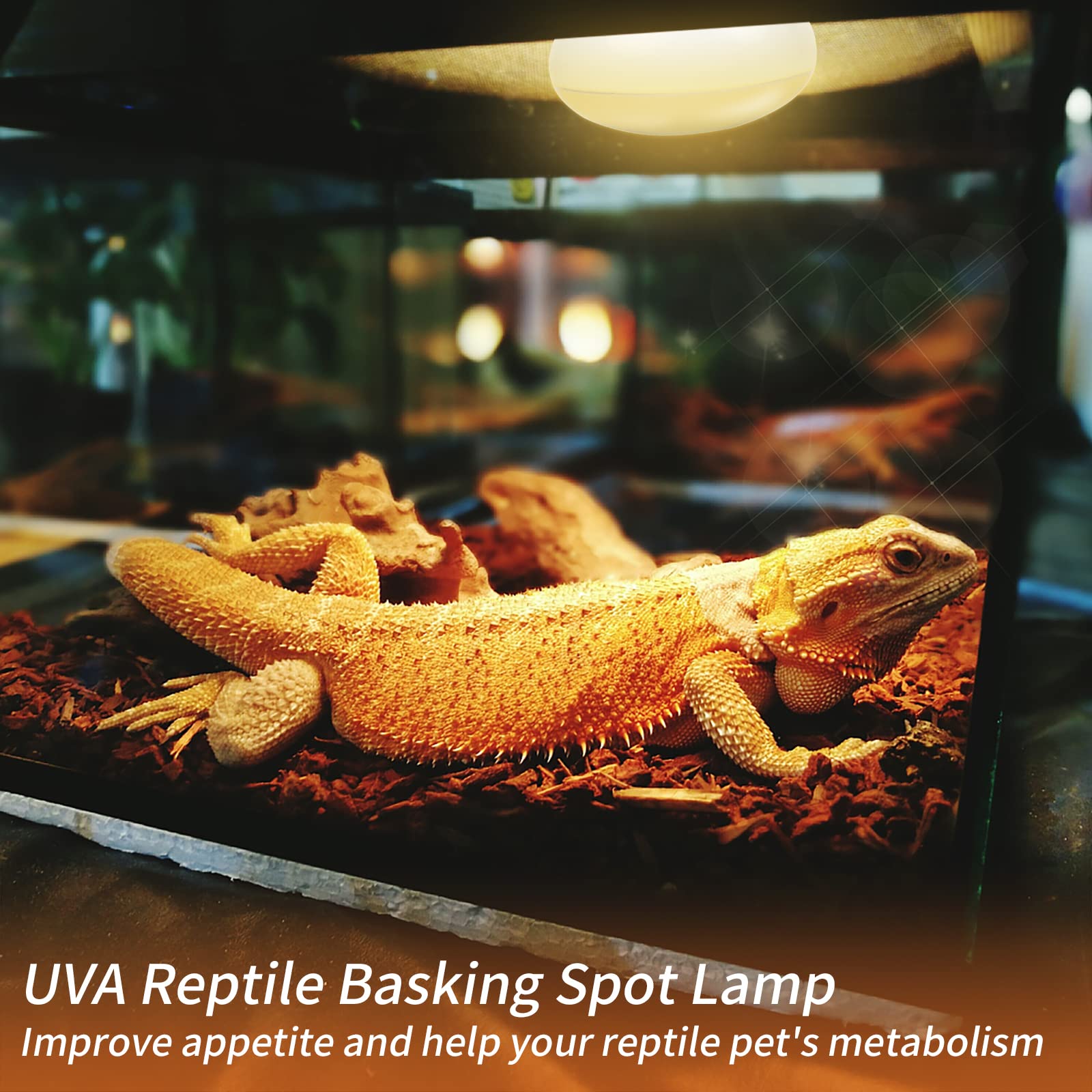 REPTI HOME Reptile Heat Lamp Bulbs,50W 2 Pack Reptiles & Amphibians UVA Basking Spot Lamp Bulb, Explosion-Proof Reptile Daylight Heat Bulb for Bearded Dragon, Lizard, Turtle