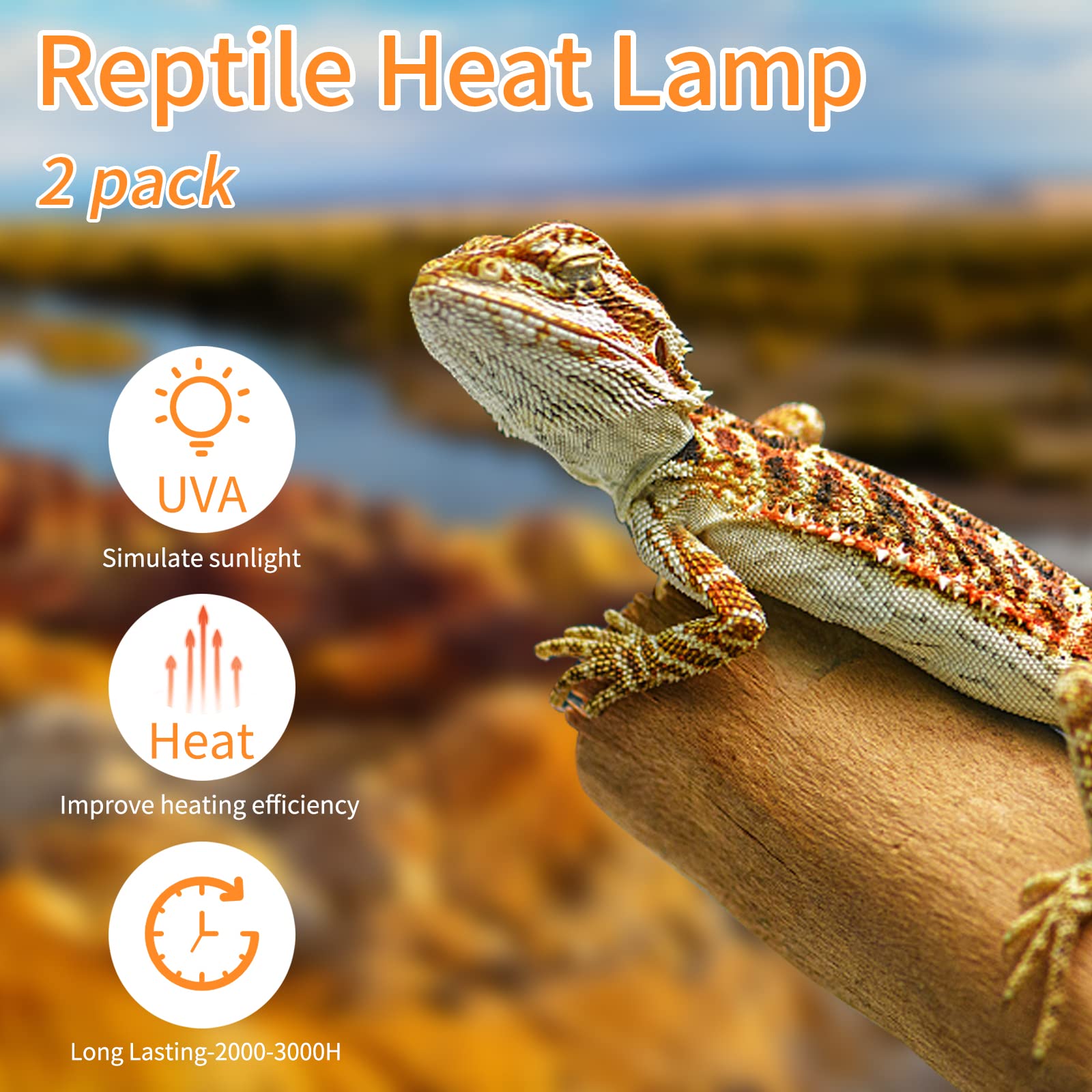 REPTI HOME Reptile Heat Lamp Bulbs,50W 2 Pack Reptiles & Amphibians UVA Basking Spot Lamp Bulb, Explosion-Proof Reptile Daylight Heat Bulb for Bearded Dragon, Lizard, Turtle