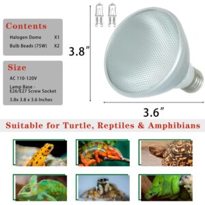 ExoRepti Reptile Heat Lamp Bulb Greenhouse Warming Bulb Reptile Light for Lizard, Turtle, Bearded Dragon, Hedgehogs, Snake Amphibians, Chicks, With 2 Bulb Beads (75 Watt). New Replaceable Bulbs Design