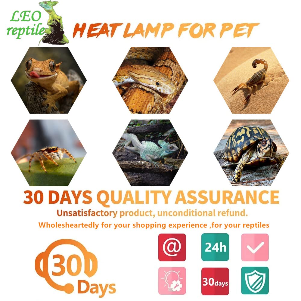 Leoterra 50w Reptile Incandescent Basking Bulb UVA Heat Lamp Bulbs (Pack of 2) for Reptile Terrariums,Bearded Dargon,Lizard,Snakes Use.Easy to Install Incandescent Basking light Bulbs