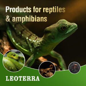 Leoterra 50w Reptile Incandescent Basking Bulb UVA Heat Lamp Bulbs (Pack of 2) for Reptile Terrariums,Bearded Dargon,Lizard,Snakes Use.Easy to Install Incandescent Basking light Bulbs