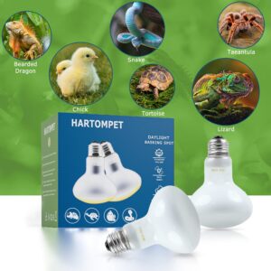 HARTOMPET 60W E26 Reptile Heat Lamp Bulbs, UVA Basking Spot Light for Bearded Dragon, Lizard, Tortoise, Chicks, Other Reptiles & Amphibians - Simulated Natural Sunlight Terrarium Heat Lamps | 2 Pack