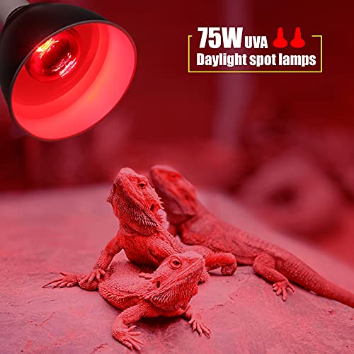 Infrared Heat lamp Basking Spot Light Bulb，LEDESIGN 75 Watt Red Heat Lamp Bulbs for Reptiles and Amphibian Use, 2 Packs (Red)