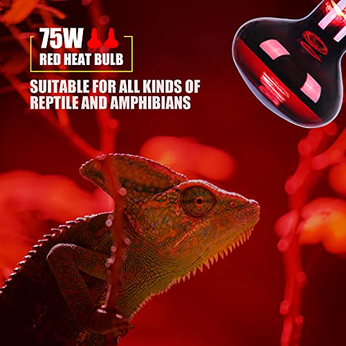 Infrared Heat lamp Basking Spot Light Bulb，LEDESIGN 75 Watt Red Heat Lamp Bulbs for Reptiles and Amphibian Use, 2 Packs (Red)