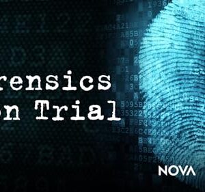 Forensics on Trial