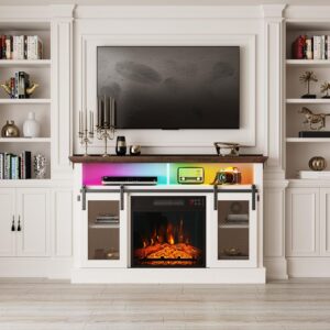 23" Electric Fireplace Insert, Recessed Fireplace Heater with Low Noise, Remote Control with Timer, Touch Screen, Adjustable Flame Brightness