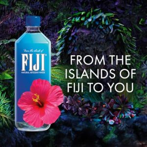 FIJI Natural Artesian Bottled Water 1 Liter / 33.8 Fl Ounce (Pack of 12)