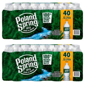 Poland Spring Natural Water 16.9 oz. 40 pk. (2 cases)