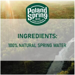 Poland Spring Natural Water 16.9 oz. 40 pk. (2 cases)