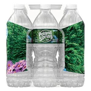 Poland Spring Brand 100% Natural Spring Water, plastic bottles,16.9 Fl Oz (Pack of 12)