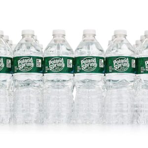 Poland Spring Natural Mineral Water 16.9 oz. 24 pk. (2 cases)