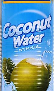 Goya Foods Coconut Water With Pulp, Real Coconut Pieces, 17.6 Fl Oz, Pack of 24, (33939)