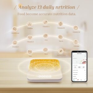 Lifehood Digital Food Scale with Tare Function - Bluetooth Kitchen Scale Measures (G/Fl.Oz./Lb:Oz/Ml), Waterproof Baking Scale with LED Display - Golden Moment