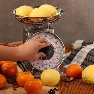 Tada 2 Pound Precise Portions Analog Food Scale 32 Ounces Stainless Steel Mechanical Kitchen Scale Removable Bowl, Tare Function, Retro Style, Kitchen Friendly