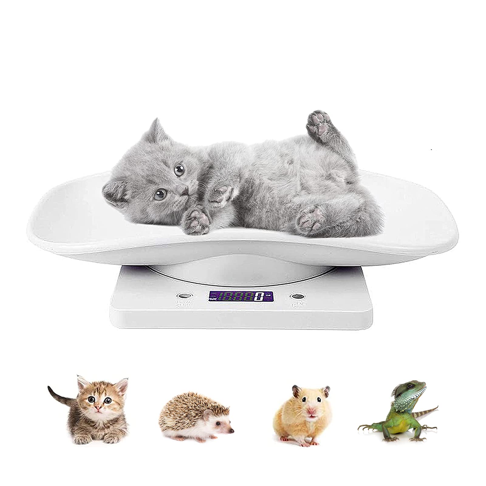 Pet Digital Scale Kitchen Weight Scale, Puppies and Kitten Scale Measures Small Animals with 22 lb/10 kg, Multi-Function Portable Electronic Scale Digital Weight