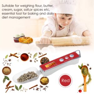 ERYUE Spoon Scale, Digital Spoon Scale Electronic Measuring Spoon Scale Household Kitchen Spoon Scale Food Scale with Tare Function Capacity 0.05g to 500g Support Unit g/oz/gn/ct/