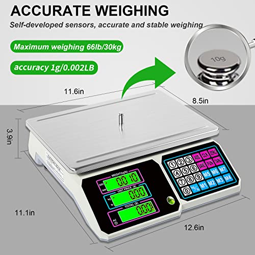 Price Computing Scale, MEIYA Digital Food Commercial Meat Deli Scale 66lb/30kg, Electronic Scale for Farmers Markets, Retail Outlets, Supermarkets, Upgrade Lead-Acid Battery, Stainless Steel Platform