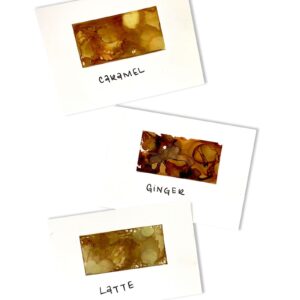 Ranger Earthtones Alcohol Ink 5 Ounces 3 Pkg Cabin Cupboard Caramel Ginger Latte Colors