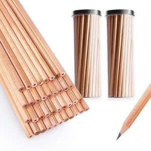 ghkjok hb pencil - 50 pcs bucket packed natural wooden hexagonal pencils higher hardness for writing drawing sketching schools offices home