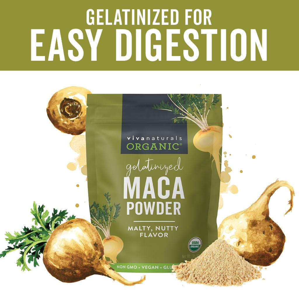 Viva Naturals Organic Maca Powder - Gelatinized Maca Powder Organic, Pervuian Superfood Traditionally Used for Energy, Certified Organic, Gluten-Free & Non-GMO, 16 Oz (1 lb) Bag