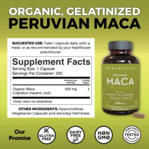 Peruvian Maca Root Supplement for Women & Men, 500mg - Traditionally Used to Support Sexual Well-Being, Stamina & Endurance - 250 Yellow Maca Root Powder Capsules