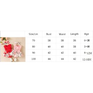 Newborn Girl Clothes Sleeveless Lace Floral Romper Dress Jumpsuit Bodysuit with Headband Infant Baby Summer Outfits (Red,3-6M)