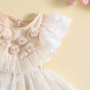 Newborn Baby Girl Boho Romper Dress Embroidery Flower Lace Tutu Photography Outfits Princess Clothes (Apricot, 3-6 Months)