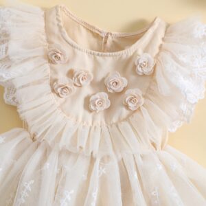 Newborn Baby Girl Boho Romper Dress Embroidery Flower Lace Tutu Photography Outfits Princess Clothes (Apricot, 3-6 Months)