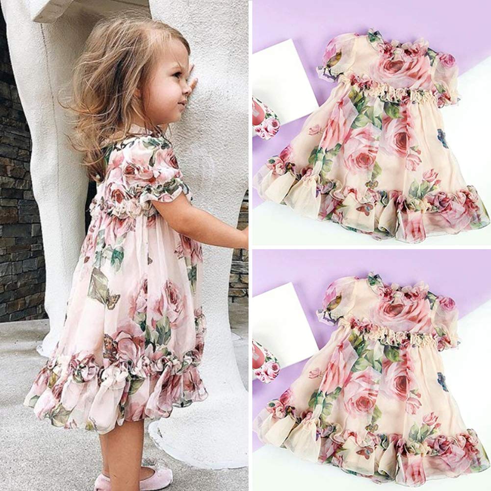 Toddler Baby Girls Flower Print Ruffles Princess Dress Sundress Clothes Outfit (6-12 Months, Pink)