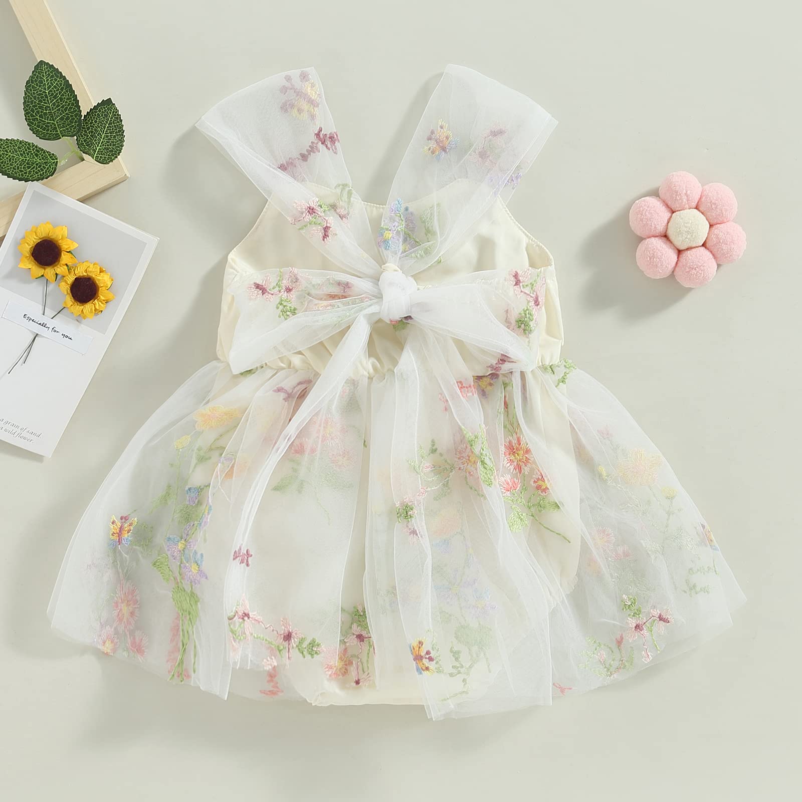 Newborn Baby Girl Embroidered Romper Dress Infant Girls Floral Sleeveless Bodysuit Mesh Tutu Tulle Dresses Summer Outfits (White,6-12 Months)