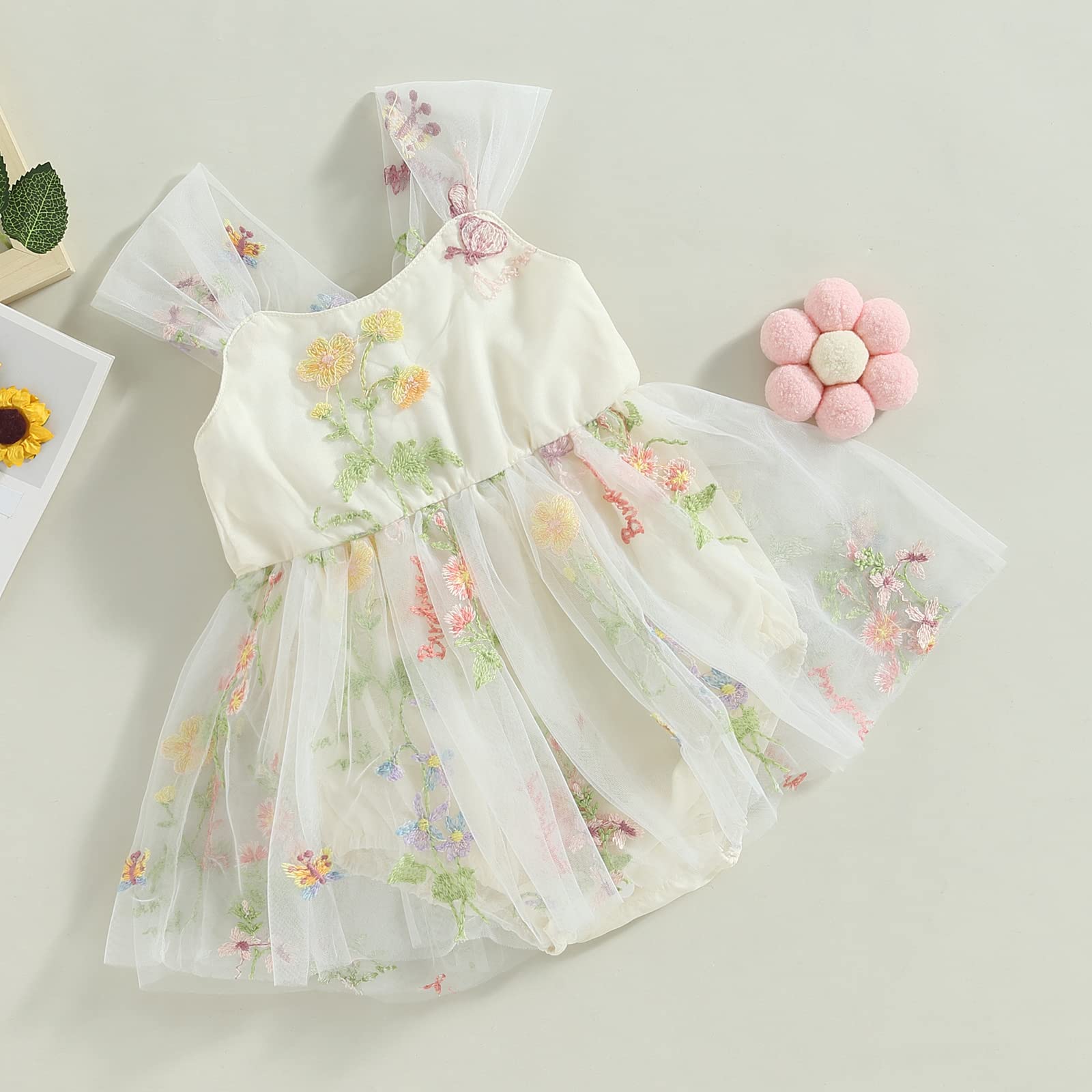 Newborn Baby Girl Embroidered Romper Dress Infant Girls Floral Sleeveless Bodysuit Mesh Tutu Tulle Dresses Summer Outfits (White,6-12 Months)