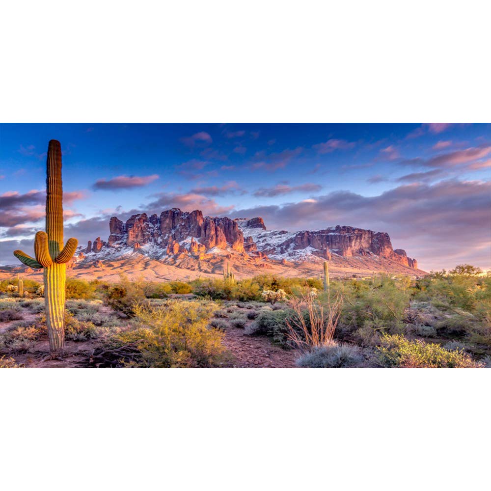 Leyiyi 30x12 inches Arazona Mountain Cactus Photography Background Desert Sunset Summit Western American Travel Hiking Desert Flora Cloud Desolate Cowboy Polyester Backdrop Terrarium Background