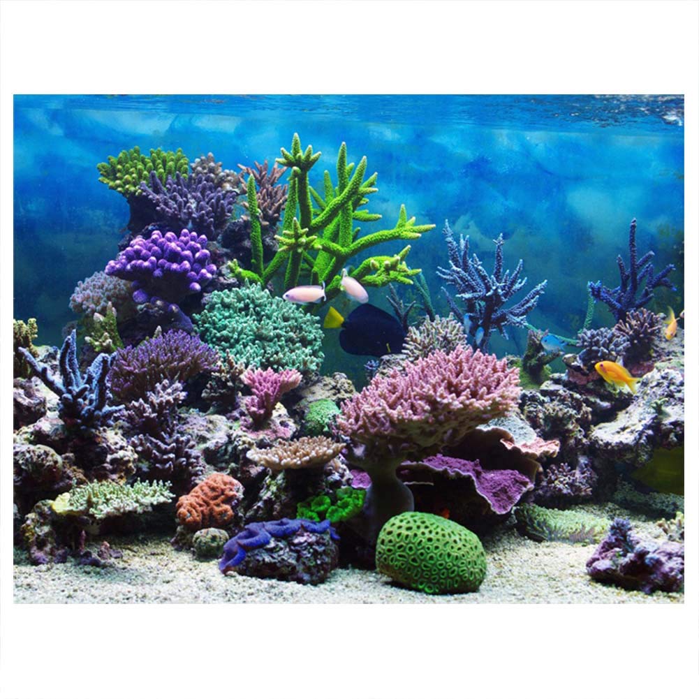 PVC Adhesive Undersea Backdrop, Aquarium Corals Photography Background Fish Poster(61 * 41cm)