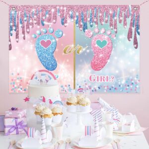 Gender Reveal Backdrop Boy or Girl - Gender Reveal Decorations Party Supplies 70.8 x 47.2 Inch Gender Reveal Background Backdrop Blue Pink Gender Party Reveal Banner What Will Baby Be Banner