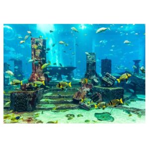 aquarium poster, underwater city ruins background sticker thicken pvc adhesive backdrop fish decorative paper(61×41cm)