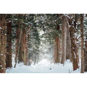 Yeele 5x3ft Forest Backdrop for Photo Props Winter Theme Snow Nature Landscape Vinyl Photography Background Snow Covered Road Background for Photo Props Holiday Supplies Wallpaper