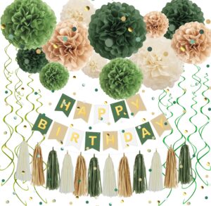 green birthday decorations, tissue paper pom poms, happy birthday banner, paper tassel, circle garland, paper confetti & hanging swirl for party decoration